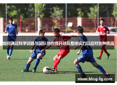 如何通过科学训练与团队协作提升球队整体实力以应对各种挑战