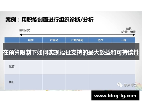 在预算限制下如何实现福祉支持的最大效益和可持续性 在预算限制下如何实现福祉支持的最大效益和可持续性