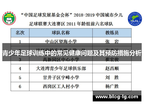 青少年足球训练中的常见健康问题及其预防措施分析